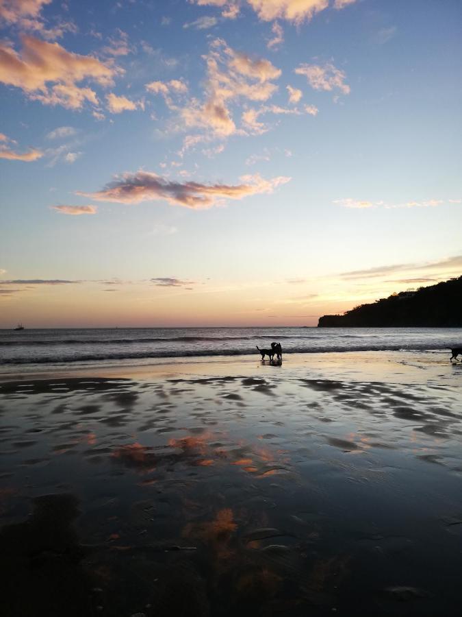 Lulu House & Art Hotel San Juan del Sur Bagian luar foto